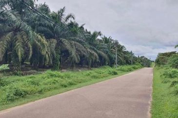 Kluang land for sale