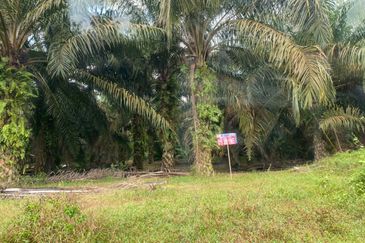 Kluang land for sale