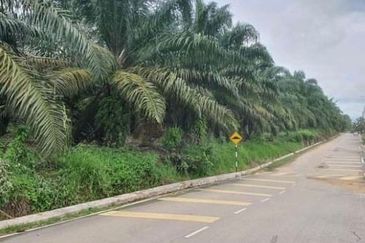 Kluang land for sale