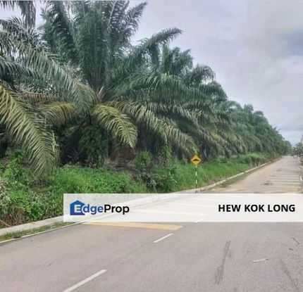 Kluang agriculture Land for sale , Johor, Kluang