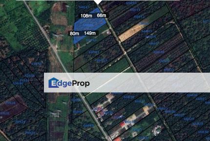 FOR SALE: PRIME AGRICULTURAL LAND IN BUKIT CHEEDING, KUALA LANGAT, Selangor, Kuala Langat