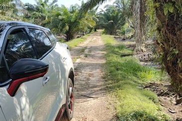 Rimba Terjun Pontian