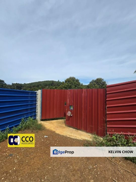 Musing King Durian Farm In Kuala Kangsar Taman Liman, Perak, Kuala Kangsar