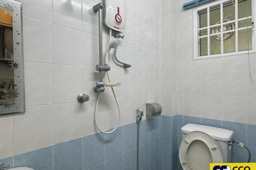 FLORA TROPIKA (THE THOMPSON)