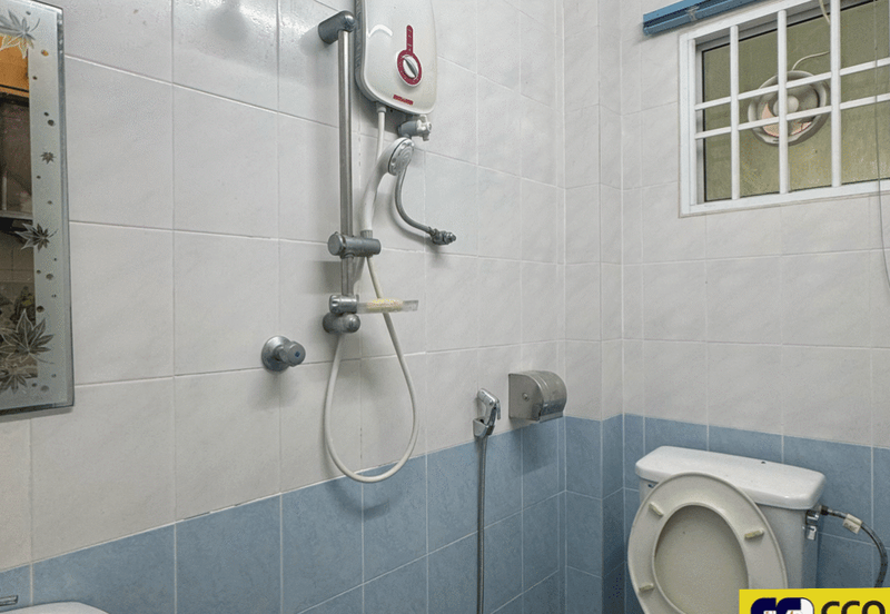 FLORA TROPIKA (THE THOMPSON)