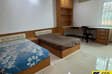 FLORA TROPIKA (THE THOMPSON)