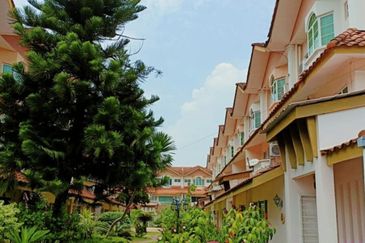 IMPIANA BOUGAINVILLEA