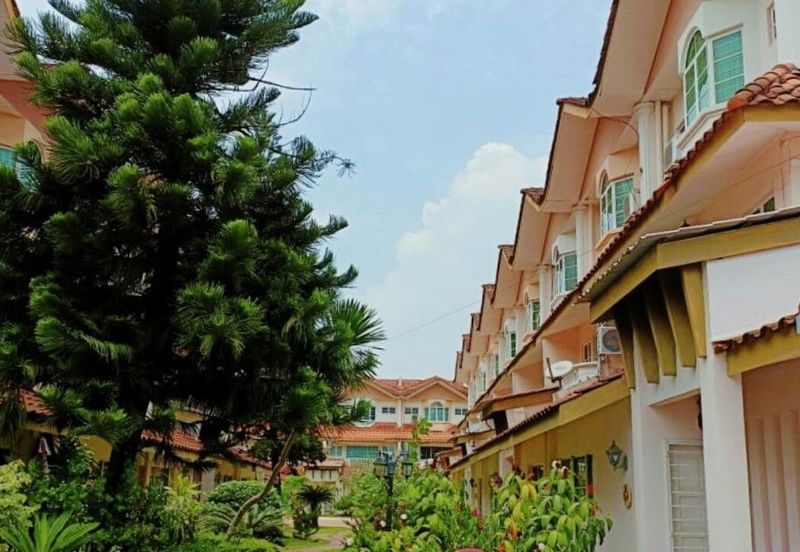 IMPIANA BOUGAINVILLEA