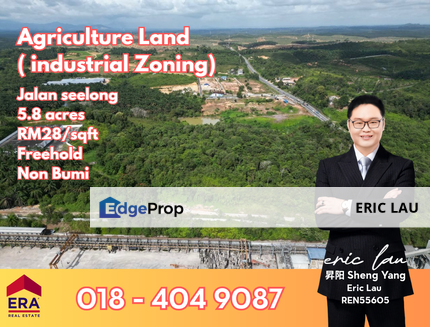 Jalan Seelong @ Senai Agriculture land ( Industrial Zoning), Johor, Senai