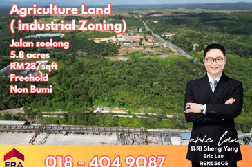 Kawasan Perindustrian Seelong