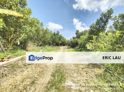 Skudai @ Lima kedai agricultural land for sale , Johor, Skudai