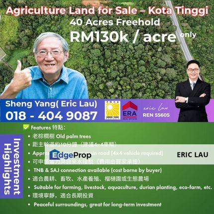 Agriculture Land for Sale – Kota Tinggi 哥打丁宜農業地出售, Johor, Kota Tinggi