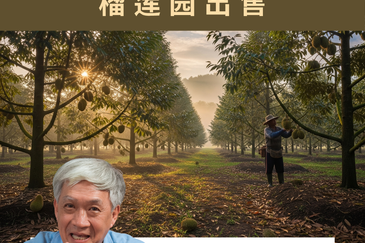 Durian Farm  for Sale – Ayer Hitam-永平