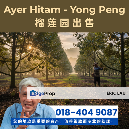 Durian Farm  for Sale – Ayer Hitam-永平, Johor, Ayer Hitam