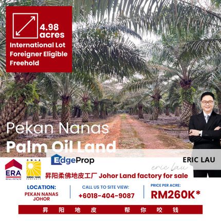 Pekan Nanas Palm Oil Land For Sale | Johor Agricultural Land Investment , Johor, Pontian