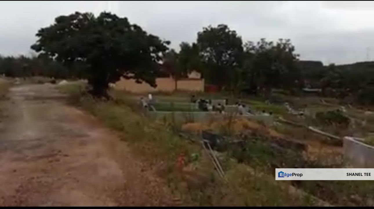 Sri Lalang Kluang Palm Oil Plantation Land For Sale, Johor, Kluang