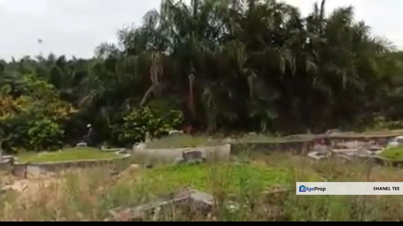 Sri Lalang Kluang Palm Oil Plantation Land For Sale, Johor, Kluang