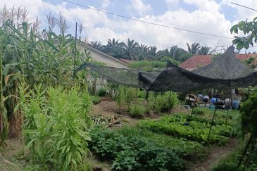 Taman Kahang Baru