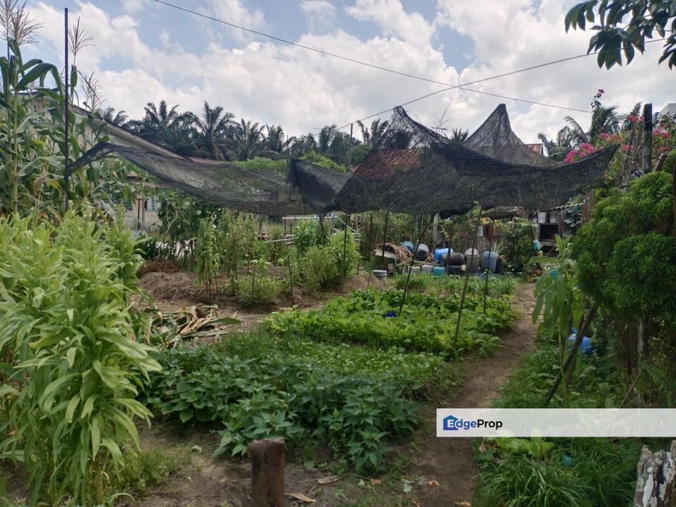 Kahang Johor Residential lot For Sale, Johor, Kluang