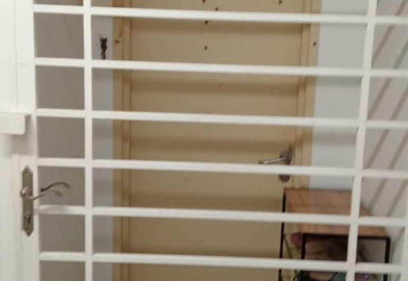 Pangsapuri Seri Pinang