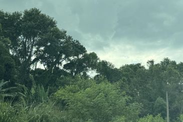 Kuala pilah mainroad land for sell 7 acres 