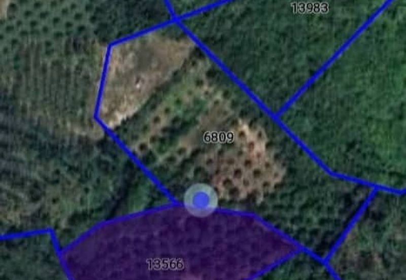 Tanah Pertanian KEBUN Kelapa Sawit Untuk Dijual ‼ Sik, Kedah