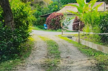 🔥TANAH ZONING INDUSTRI DI KAMPUNG BESAR NIBONG TEBAL GERAN INDIVIDU UNTUK DIJUAL 14300 NIBONG TEBAL PENANG [EXCLUSIVE]🔥