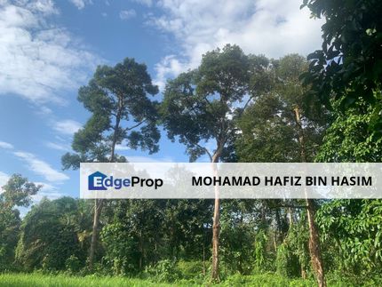 TANAH DUSUN SUNGAI SEDIM UNTUK DIJUAL🌳, Kedah, Kulim