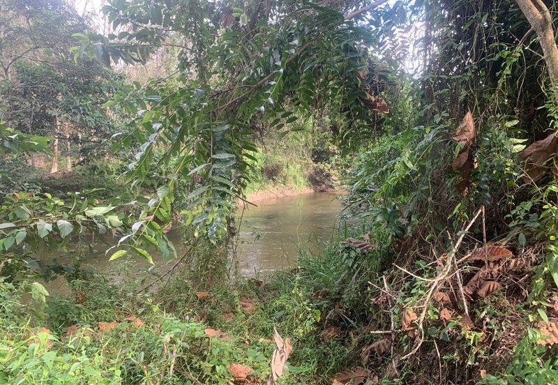 TANAH DUSUN SUNGAI SEDIM UNTUK DIJUAL🌳