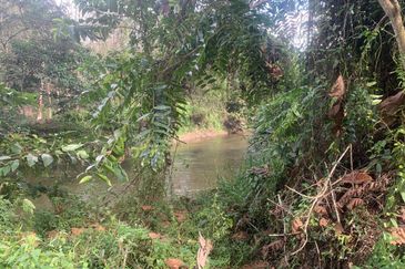 TANAH DUSUN SUNGAI SEDIM UNTUK DIJUAL🌳