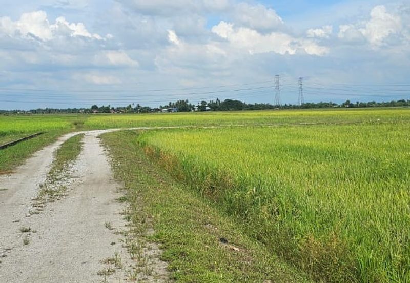 TANAH BENDANG UNTUK DIJUAL 