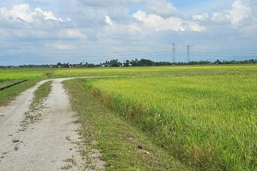 TANAH BENDANG UNTUK DIJUAL 