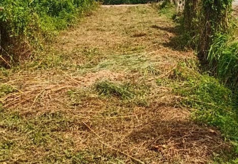 TANAH KAMPUNG UNTUK DIJUAL 