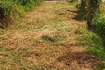 TANAH KAMPUNG UNTUK DIJUAL 