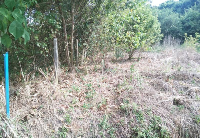 TANAH KAMPUNG UNTUK DIJUAL 