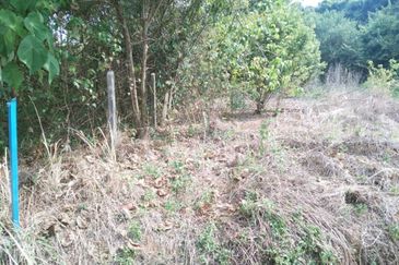 TANAH KAMPUNG UNTUK DIJUAL 