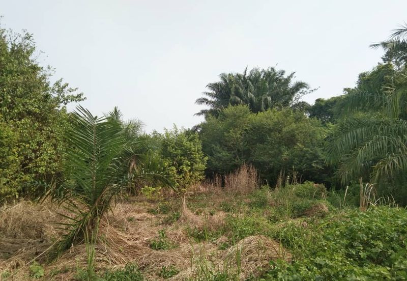 TANAH KAMPUNG UNTUK DIJUAL 