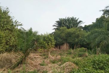 TANAH KAMPUNG UNTUK DIJUAL 