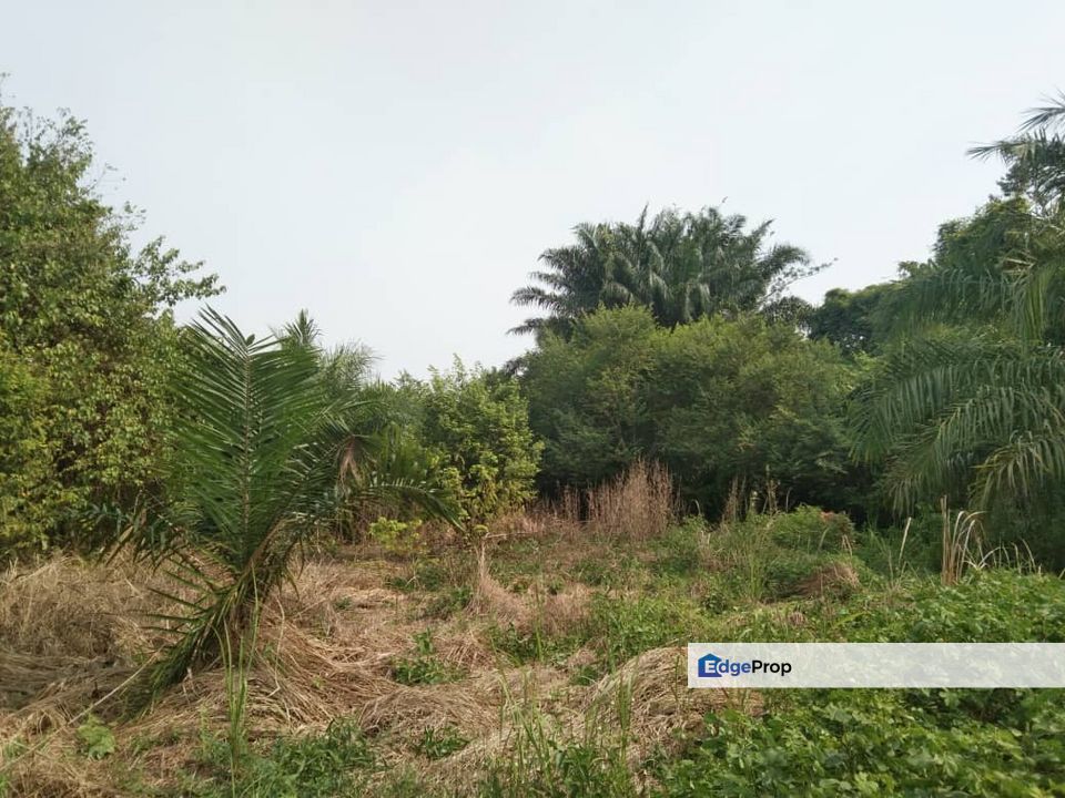 TANAH KAMPUNG UNTUK DIJUAL , Penang, Tasek Gelugor