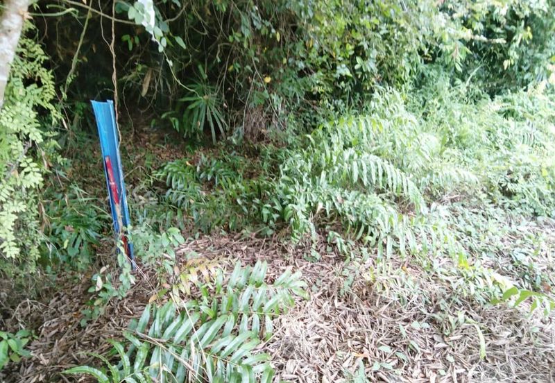 TANAH KAMPUNG UNTUK DIJUAL 