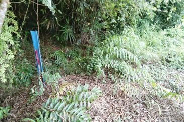 TANAH KAMPUNG UNTUK DIJUAL 