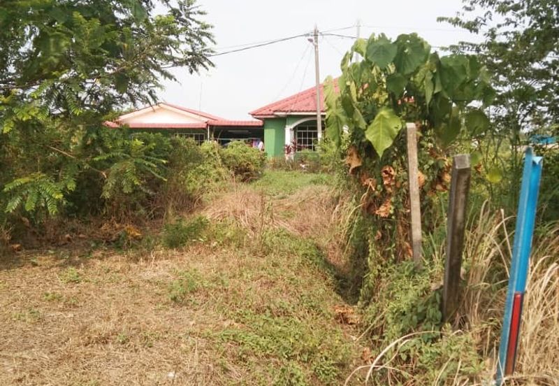 TANAH KAMPUNG UNTUK DIJUAL 