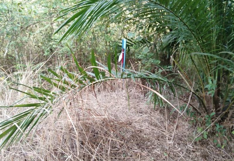 TANAH KAMPUNG UNTUK DIJUAL 