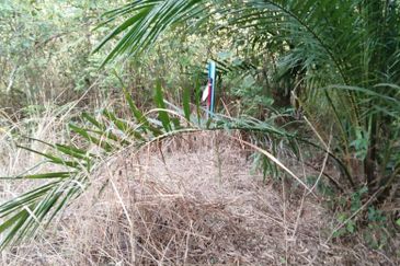 TANAH KAMPUNG UNTUK DIJUAL 