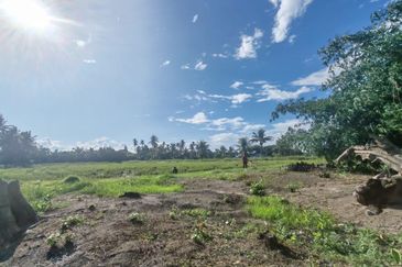 TANAH SAWAH BENDANG + TAPAK RUMAH UNTUK DIJUAL