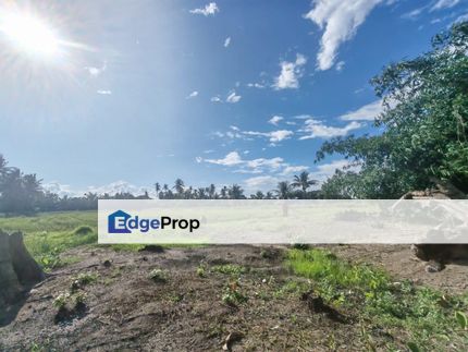 TANAH SAWAH BENDANG + TAPAK RUMAH UNTUK DIJUAL, Penang, Kepala Batas