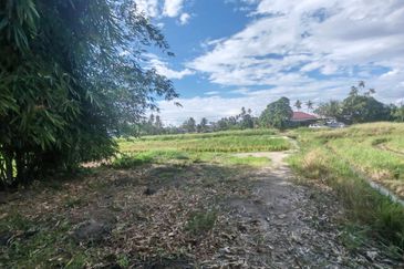 TANAH SAWAH BENDANG + TAPAK RUMAH UNTUK DIJUAL