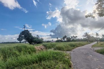 TANAH SAWAH BENDANG + TAPAK RUMAH UNTUK DIJUAL