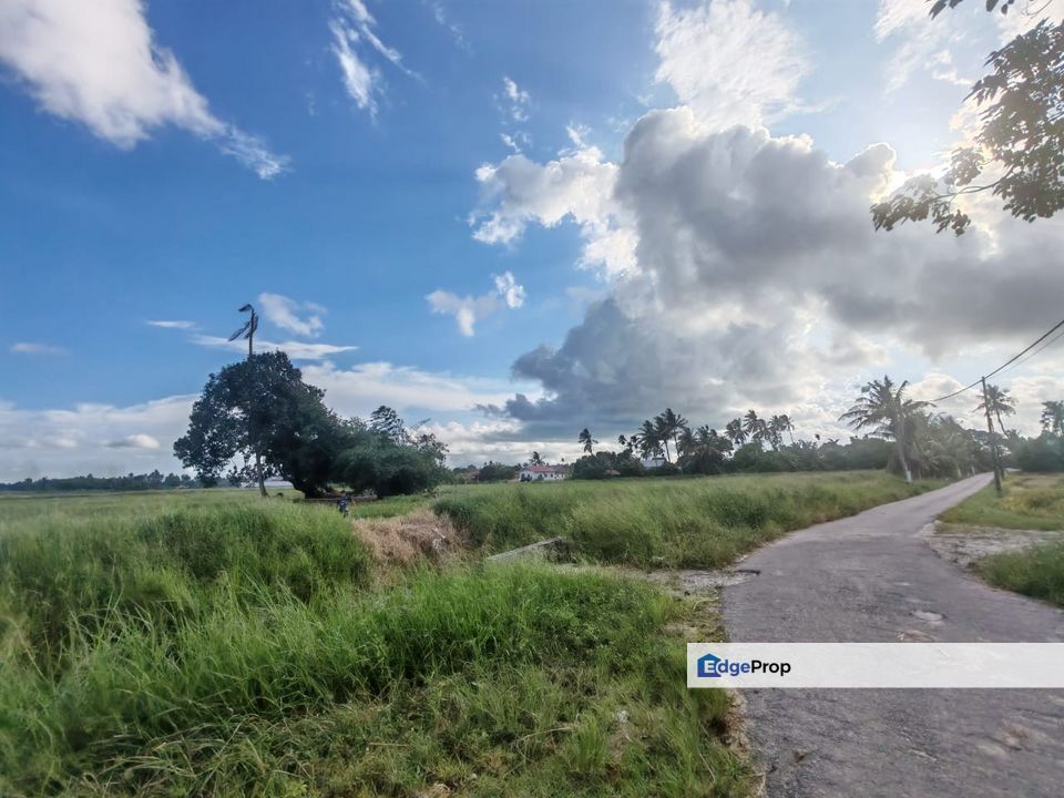 TANAH SAWAH BENDANG + TAPAK RUMAH UNTUK DIJUAL, Penang, Kepala Batas