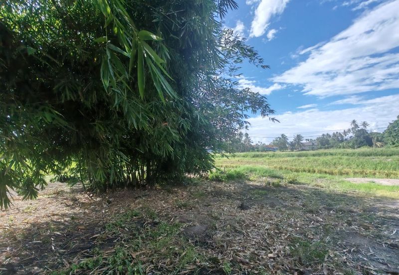 TANAH SAWAH BENDANG + TAPAK RUMAH UNTUK DIJUAL